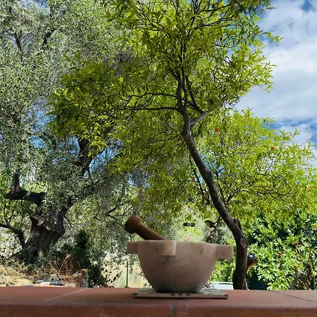Apartmán Casa Romita Imperia